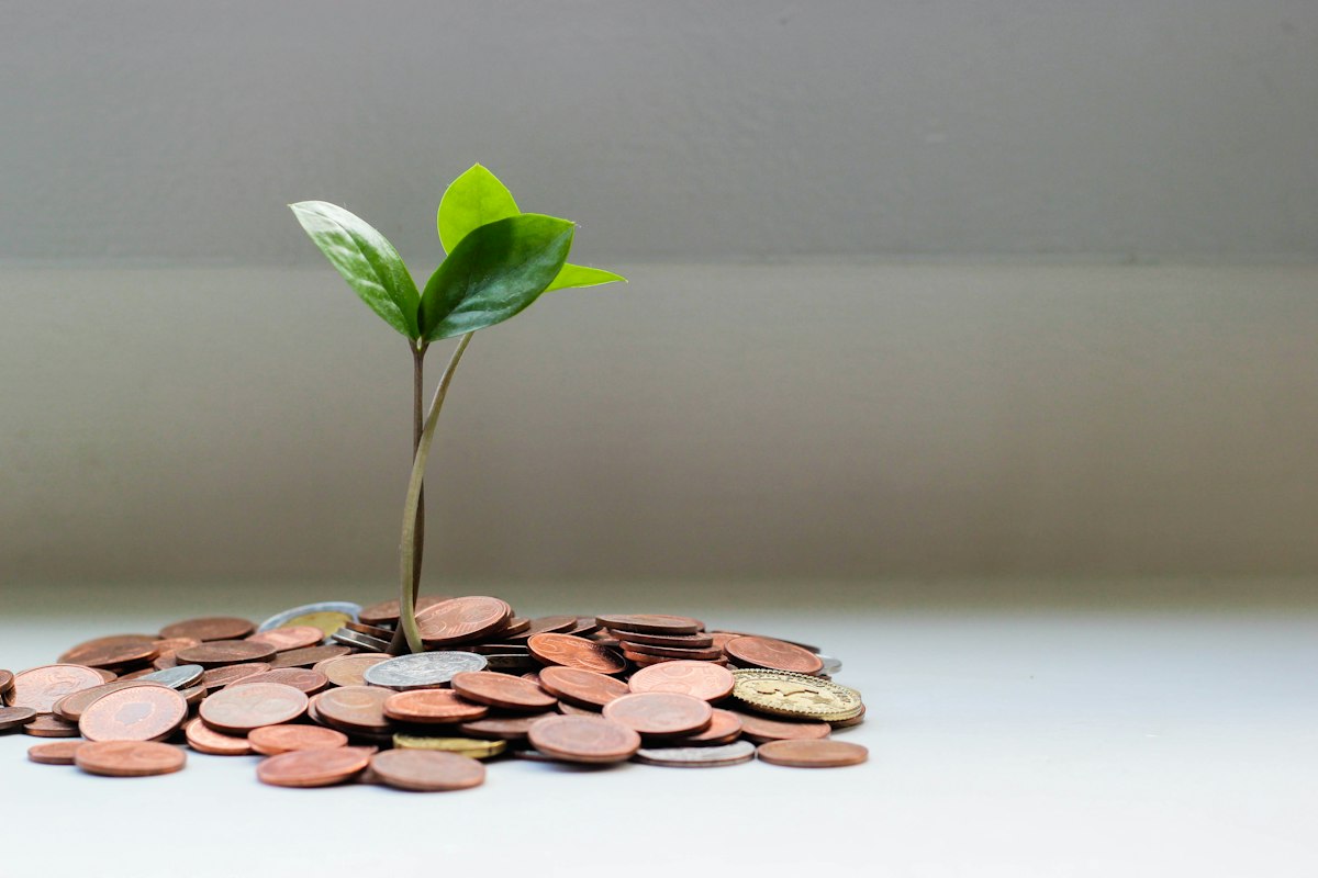 Smart Ways to Save Money and Build Wealth